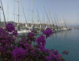 Турция, май 2026