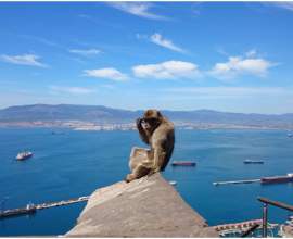 Особенности посещения Гибралтара